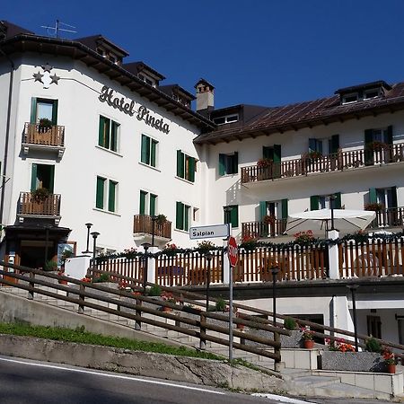 Hotel Pineta Falcade Kültér fotó