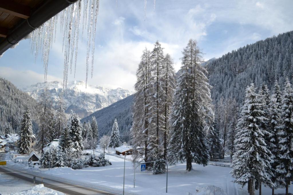 Hotel Pineta Falcade Kültér fotó